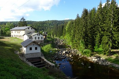 dsc08206.jpg