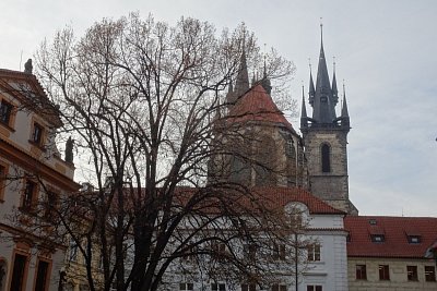 dsc09807.jpg