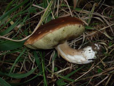 dscf3049.jpg
