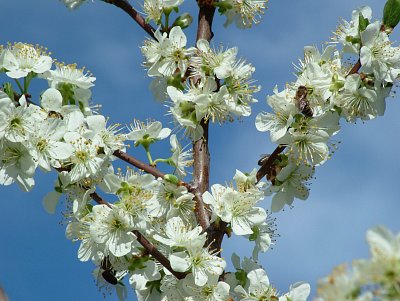 dscf5189.jpg
