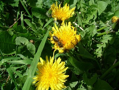 dscf5266.jpg