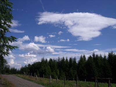 dscf6224-1.jpg