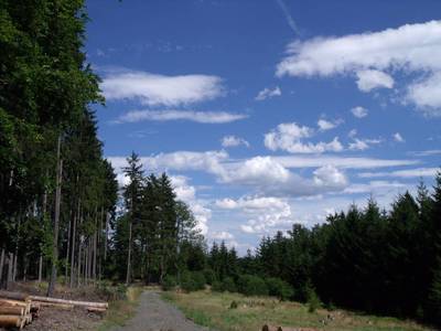 dscf6229.jpg
