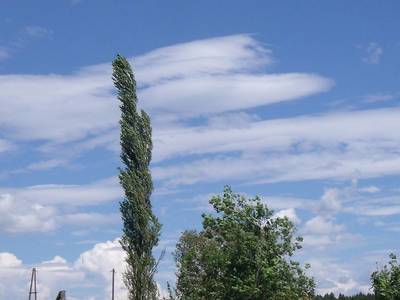 dscf6243.jpg