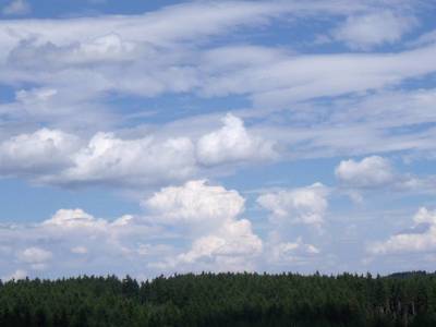 dscf6263-1.jpg