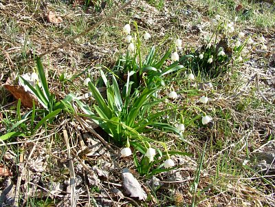 dscf6495.jpg