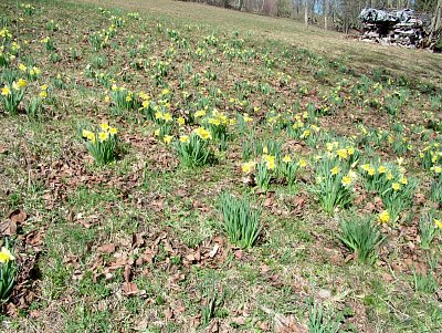 dscf6589.jpg