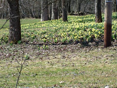 dscf6603.jpg