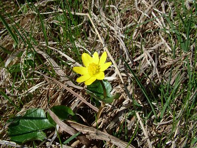 dscf6610.jpg
