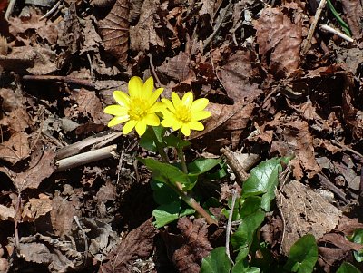 dscf6620.jpg