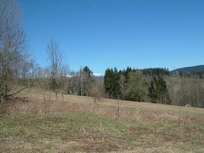 dscf6698-1.jpg