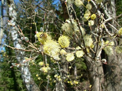 dscf6759.jpg