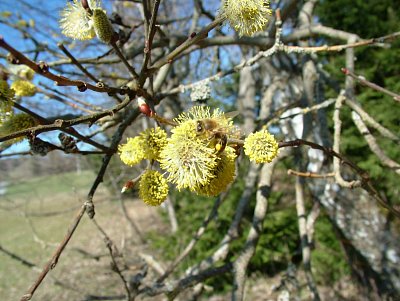 dscf6773.jpg