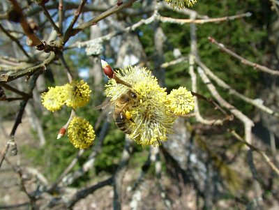 dscf6775.jpg