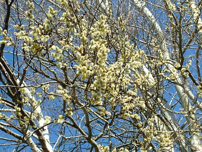 dscf6783.jpg