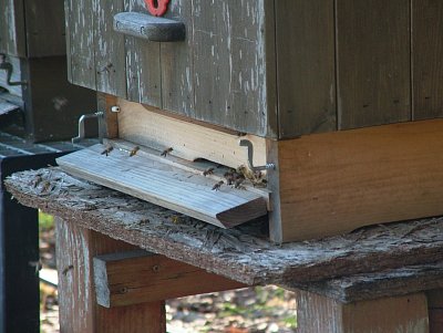 dscf6853.jpg