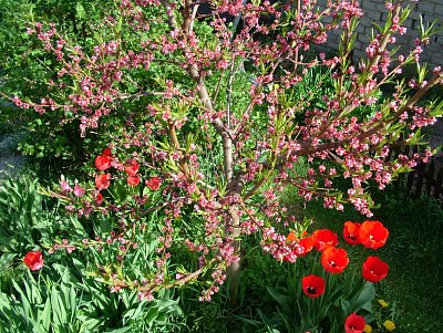 dscf6941.jpg