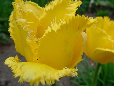 dscf7074.jpg