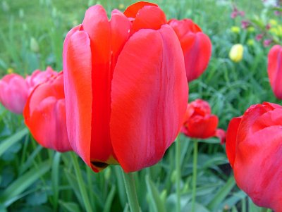 dscf7096.jpg