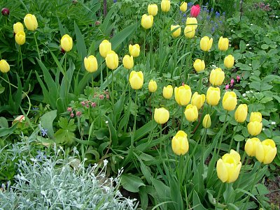 dscf7129.jpg