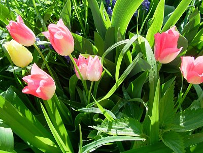 dscf7139-1.jpg