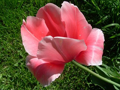 dscf7169.jpg