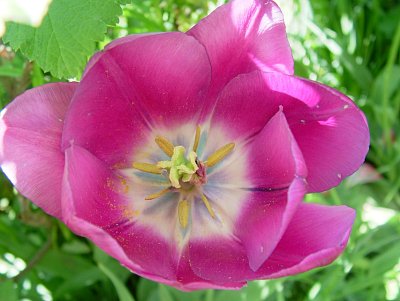 dscf7178.jpg