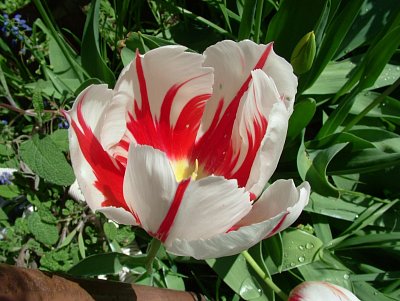 dscf7182-1.jpg