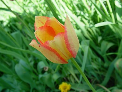 dscf7196.jpg