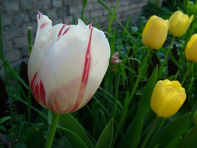 dscf7202.jpg