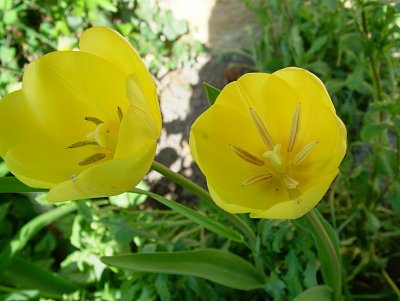 dscf7206.jpg