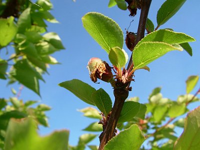 dscf7216-1.jpg