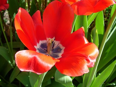 dscf7256.jpg