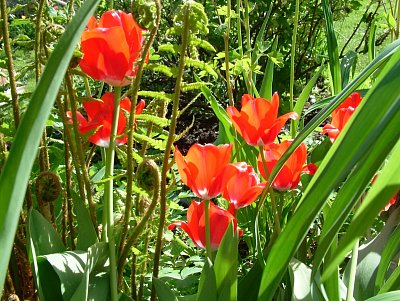 dscf7261.jpg