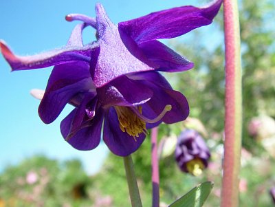 dscf7608-1.jpg