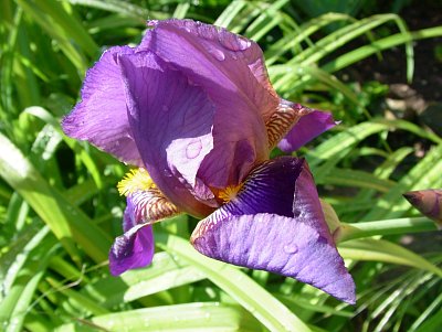 dscf7677-1.jpg