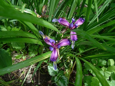 dscf7756-3.jpg