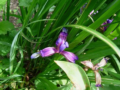 dscf7757.jpg