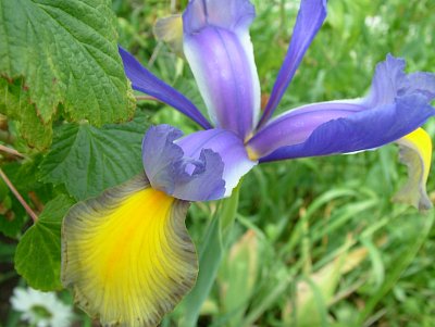 dscf7768-1.jpg