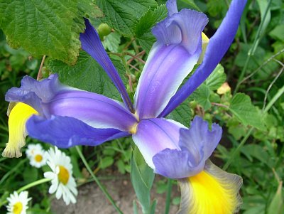 dscf7769-1.jpg
