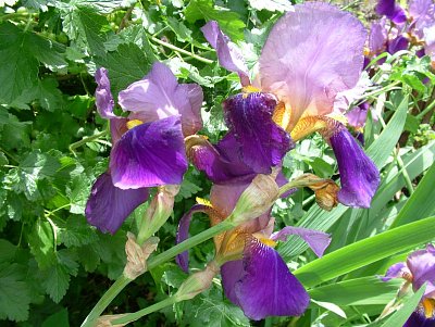 dscf7771-2.jpg