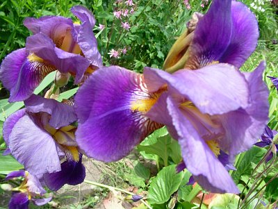 dscf7773-1.jpg