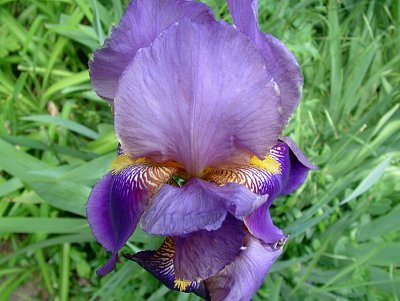 dscf7808-1.jpg