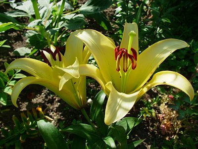 dscf7843-1.jpg