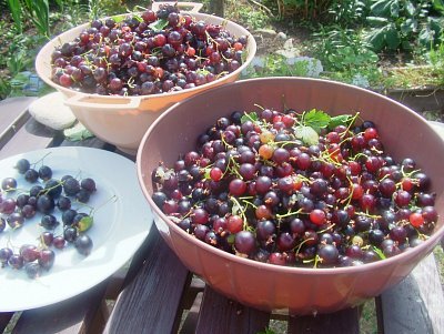 dscf8058-2.jpg