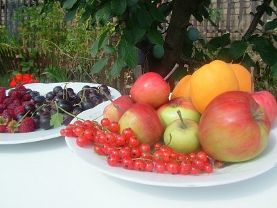 dscf8082-2.jpg