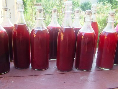 dscf8087.jpg