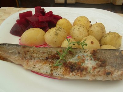 dscf8096-2.jpg