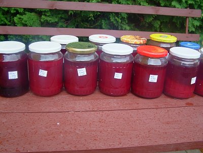 dscf8118.jpg
