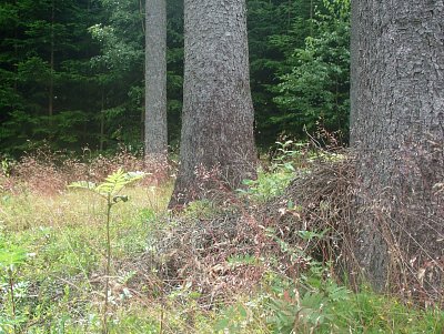 dscf8218.jpg